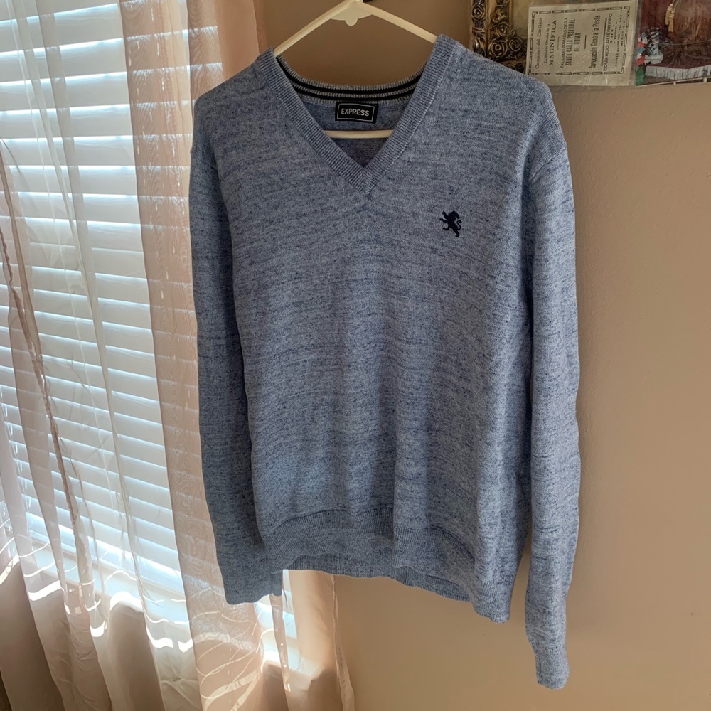 Express v neck sweater
